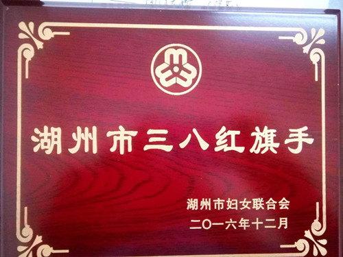 郭霞湖州市三八紅旗手